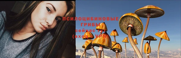 шишки Карталы