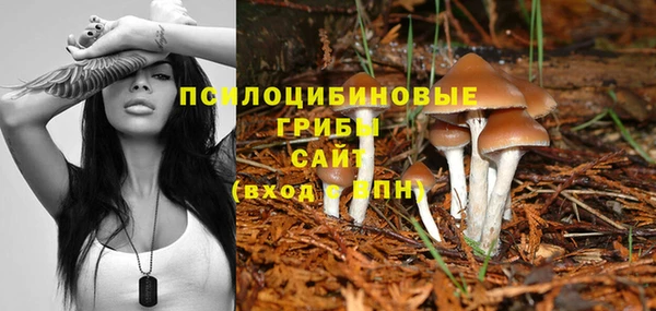 MDMA Карпинск