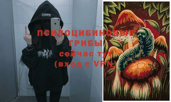 мяу мяу мука Касимов