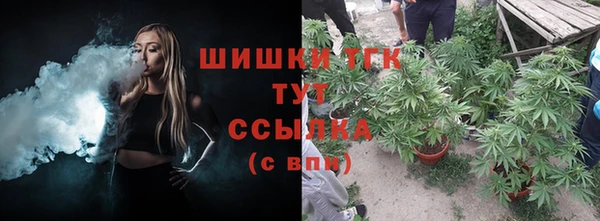 шишки Карталы