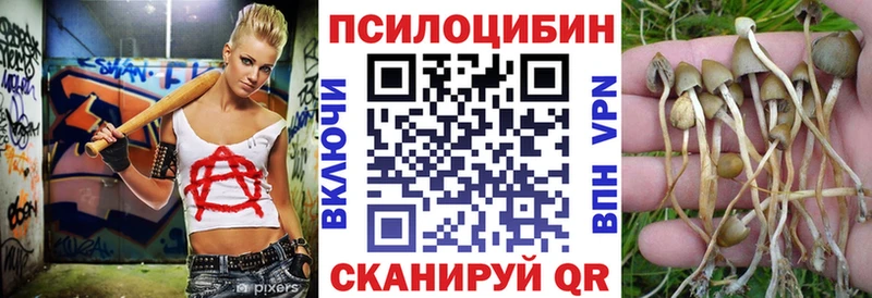 Псилоцибиновые грибы Psilocybine cubensis  Купить где  Серафимович 