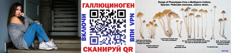 Псилоцибиновые грибы Psilocybe Серафимович